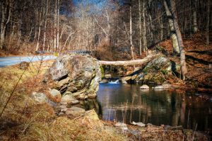 Read more about the article Photo of the Week: Rock Steady