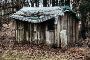 Read more about the article Photo of the Week: Weather Worn