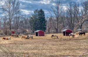 Read more about the article Photo of the Week: Warm Saturday