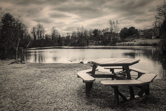 You are currently viewing Photo of the Week: Picnic Tabled