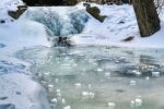 Frozen Raceway
