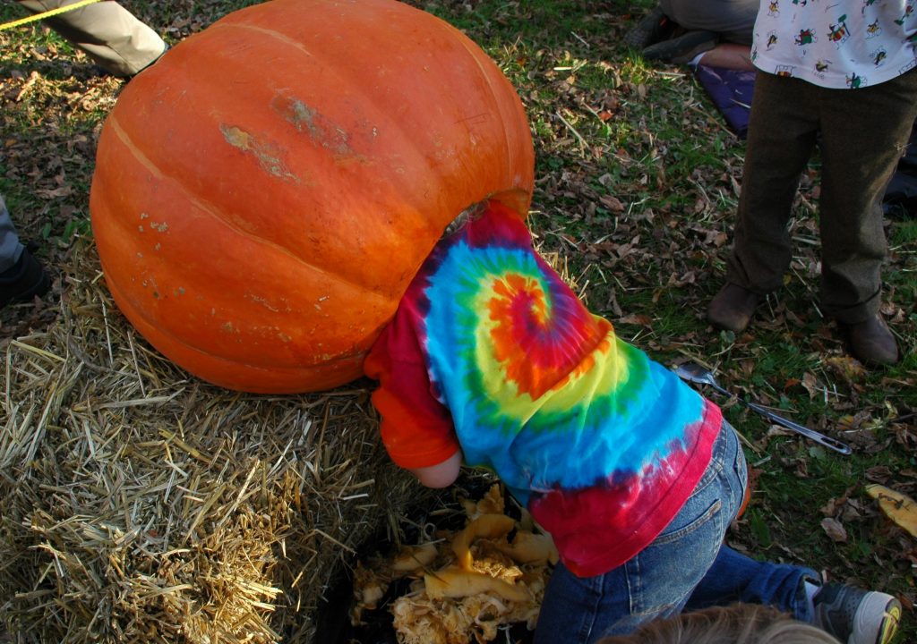 Read more about the article Pumpkin carve brings out the crowds