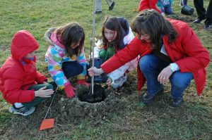 Read more about the article Pocopson kids plant trees for trail