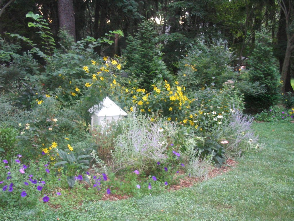 Read more about the article The Garden Path: Are you an over-permissive gardener?