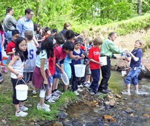 Read more about the article Students release fry for shad repopulation