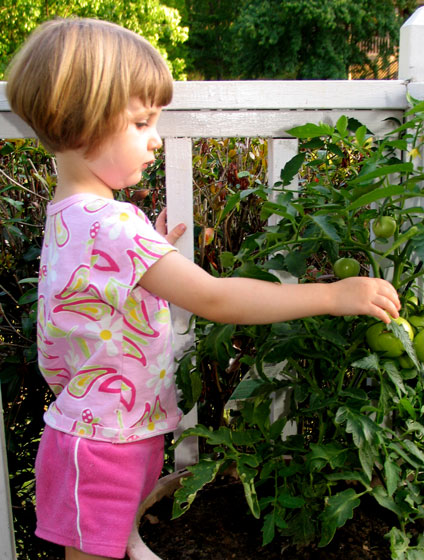 You are currently viewing The Garden Path: Little hands in the garden